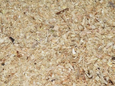 Опилки в саду: как правильно использовать, чтобы не навредить растениям