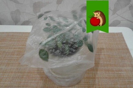 Как пакет помогает сохранить здоровье растений?