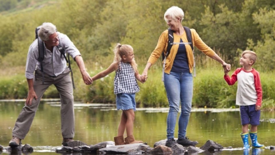 Пенсионеры получат возможность вернуть расходы на помощь внукам