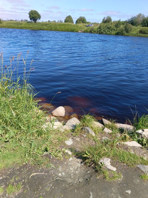 Справка по невидимым страданиям: взгляд на трудные 90-е