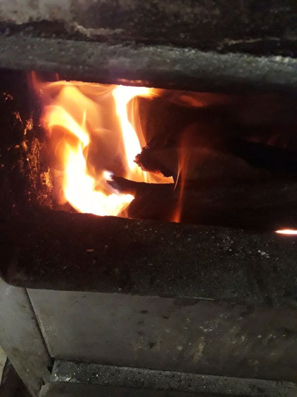 Морозный тест для дачников: Как спасти чеснок от зимних холодов