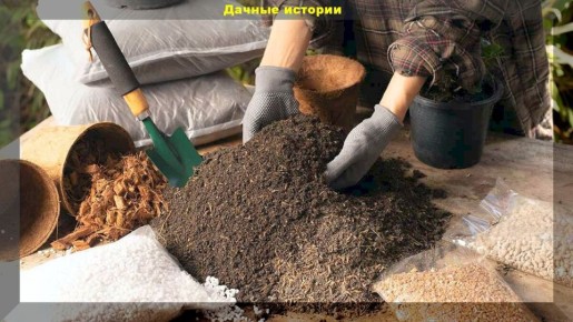 Как самостоятельно создать идеальный грунт для рассады: полезные советы и простые рецепты