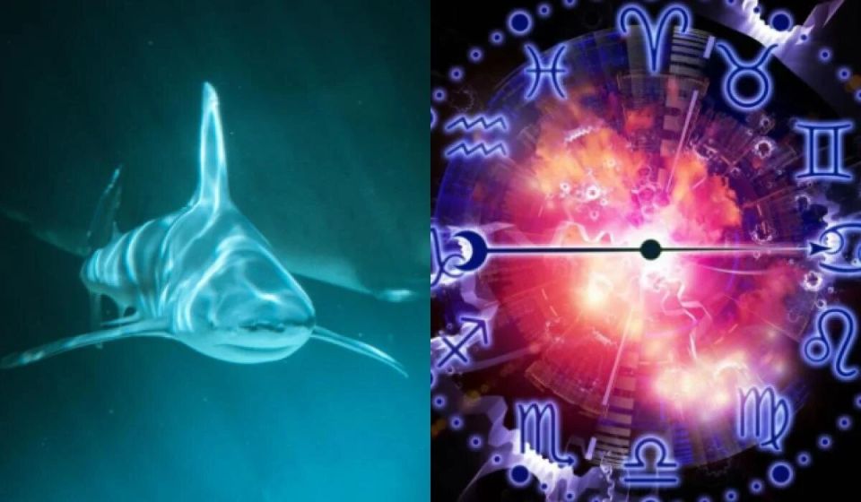 Откройте для себя океаническую природу своего знака Зодиака