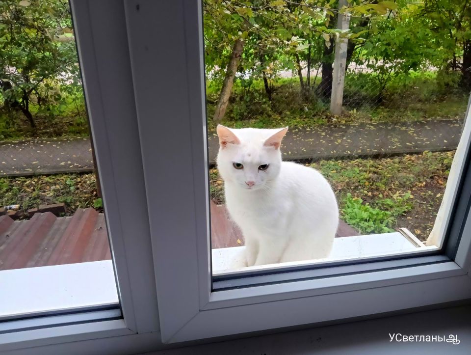 Неповторимое утро: как одна картошка с яйцами превратилась в повод для вдохновения