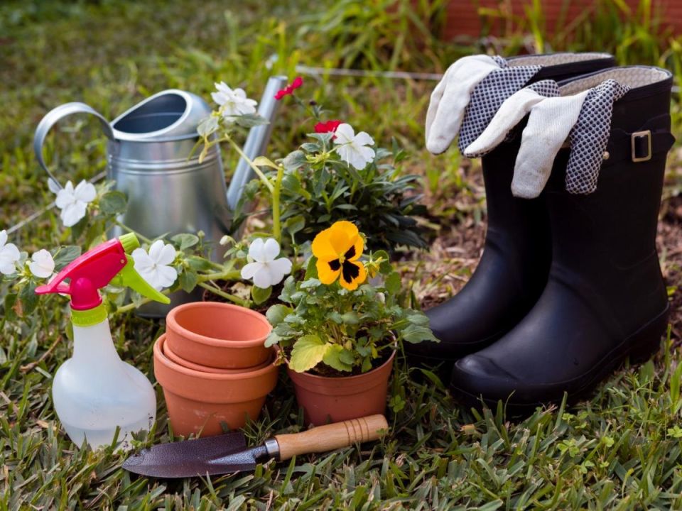 Осень на даче: разоблачаем дачные мифы и советы