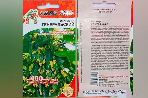 Гармония вкуса и урожайности: огурцы Генеральский завоевывают популярность