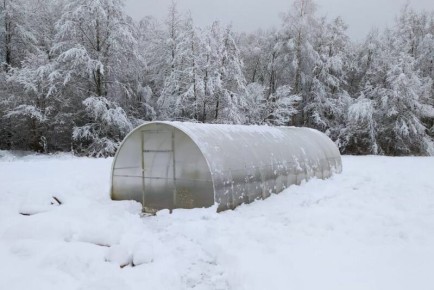Как выбрать идеальную поликарбонатную теплицу: что нужно знать