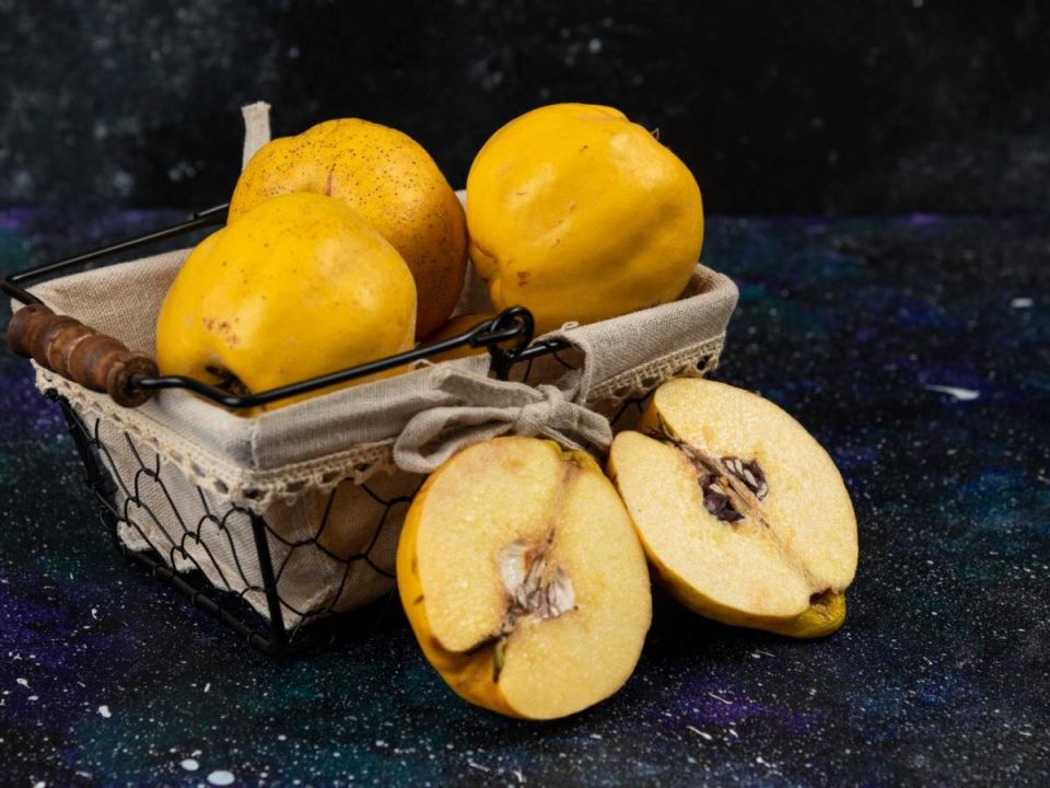 Айва: забытая жемчужина садов, возвращающаяся в наш рацион