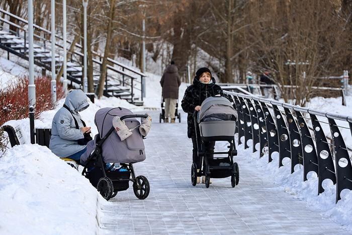 С 1 января 2026 года вступают в силу важные изменения в социальных выплатах
