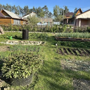 Почему дача становится популярной среди молодежи: пять причин выделяются