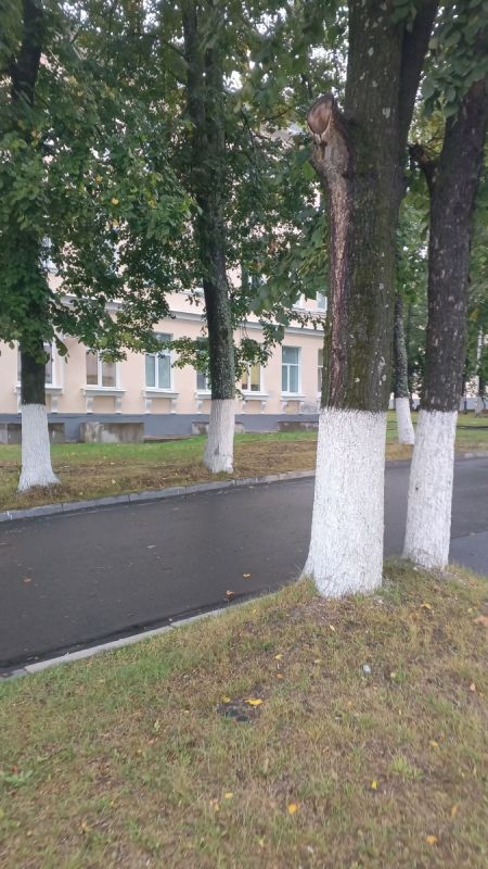 Как победить страх и избавиться от боли: история успешной блокады пяточной шпоры