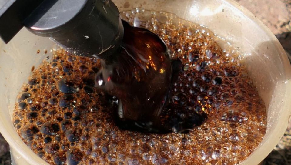 Как сделать 'зелёное золото' из осенних отходов для весенней подкормки