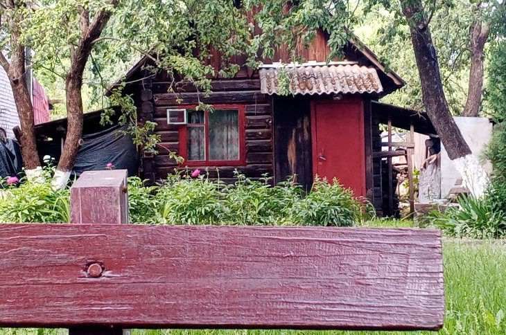 Как избавить дачный дом от запаха сырости и плесени: вы об этом не знали