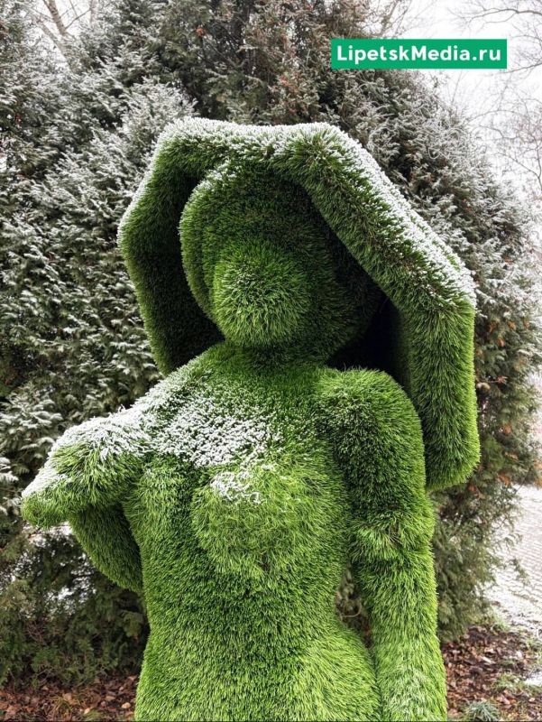 ������ ���� ����� � �������