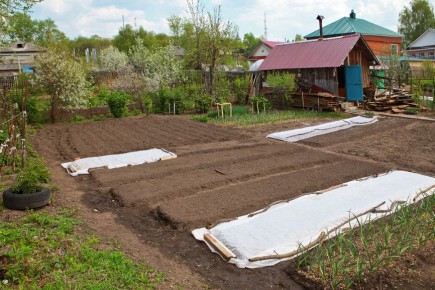 Как избежать жестких санкций за неосвоенные земельные участки: полезные советы