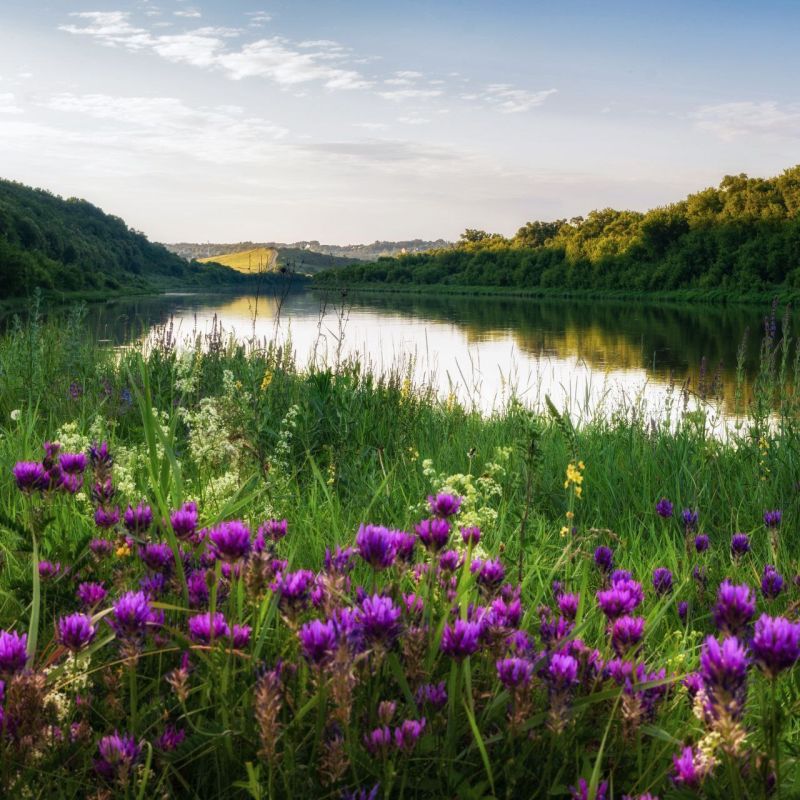 800 �� ���������� ��� �������� �� ������ ������ �������� ������� � 2025 ����