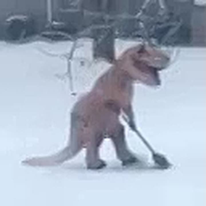 ������ ������� ������� ������