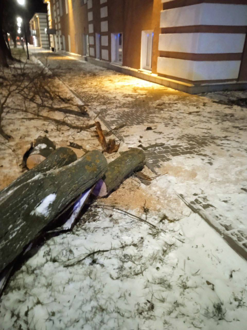 Ветер снёс несколько новогодних ёлок и инсталляцию «Новогодний фонарь» в Ельце Ветер снёс несколько новогодних ёлок и инсталляцию «Новогодний фонарь» в Ельце