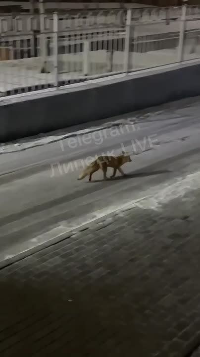 ������ �������� ������� �� ���������� ������ �� ������� ��