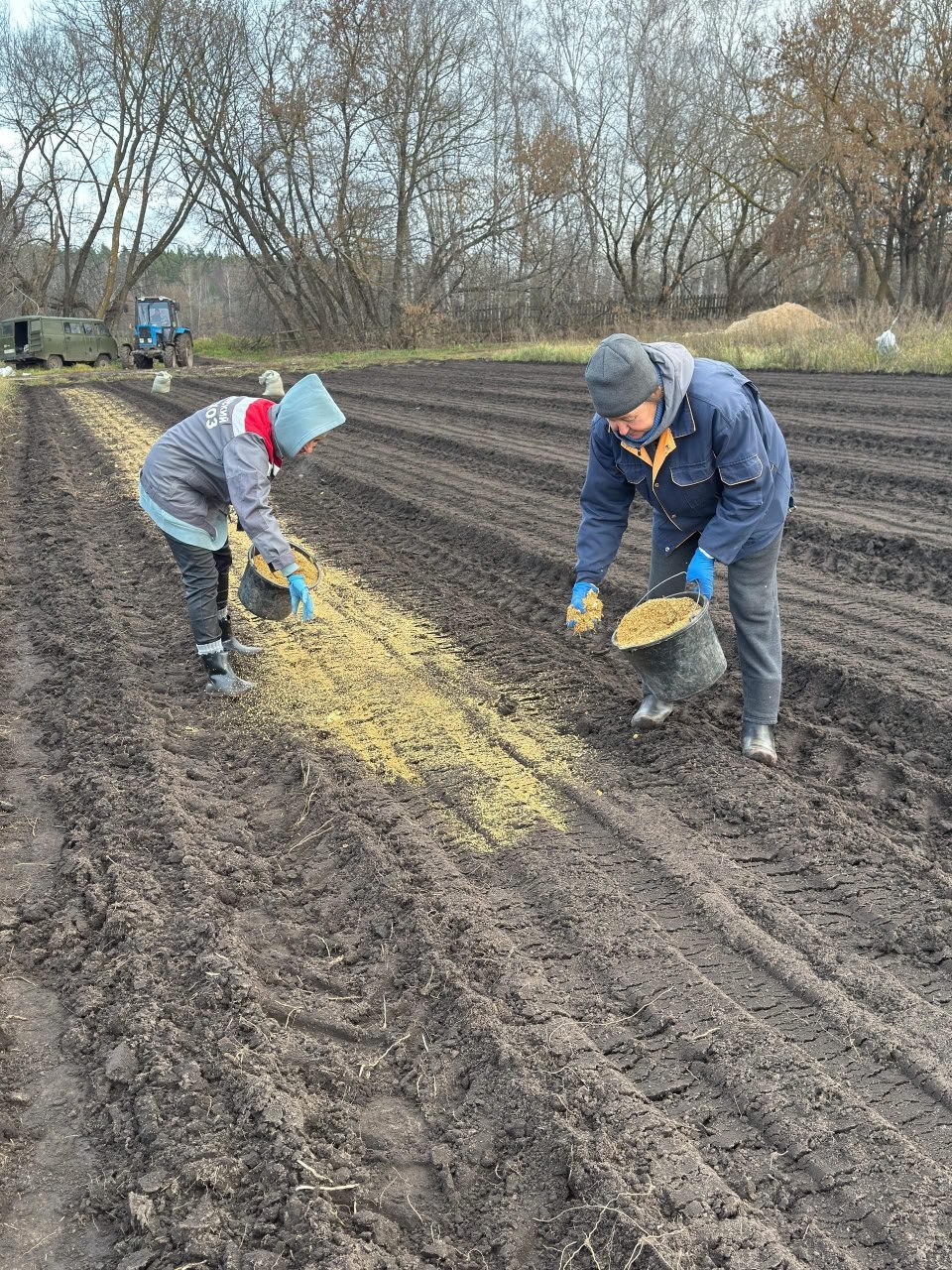 Круто перевыполнили план посева лесхозы Липецкой области