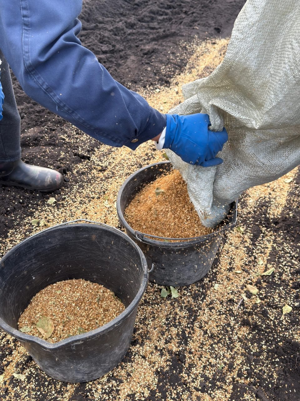 Круто перевыполнили план посева лесхозы Липецкой области Круто перевыполнили план посева лесхозы Липецкой области