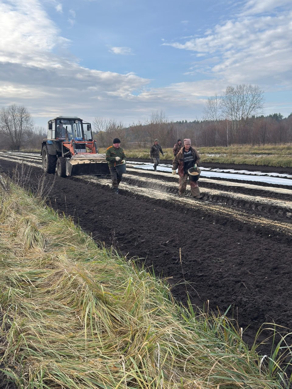 Круто перевыполнили план посева лесхозы Липецкой области Круто перевыполнили план посева лесхозы Липецкой области