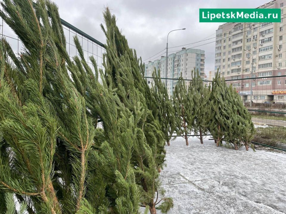 ������� ������ ��������� � �������