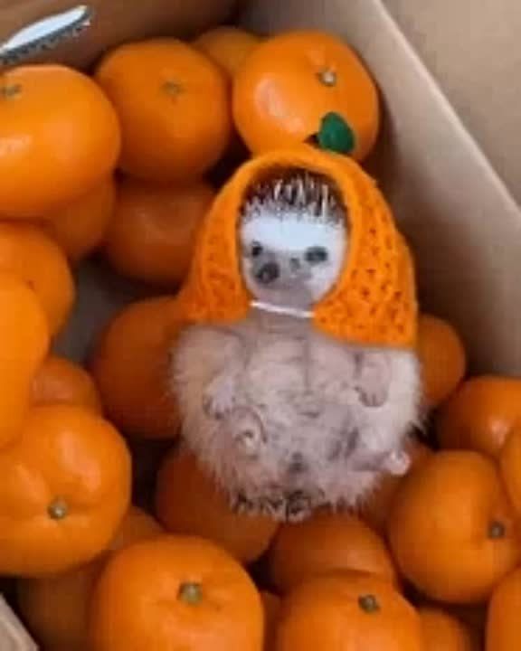 ������� ������� ����� �������� ������ ���������� � �������������� ������