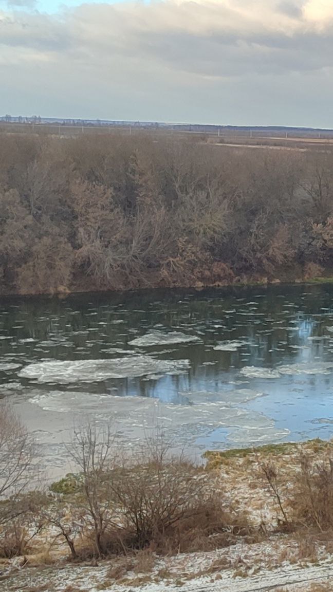 Сало поплыло по Дону в Липецкой области Сало поплыло по Дону в Липецкой области