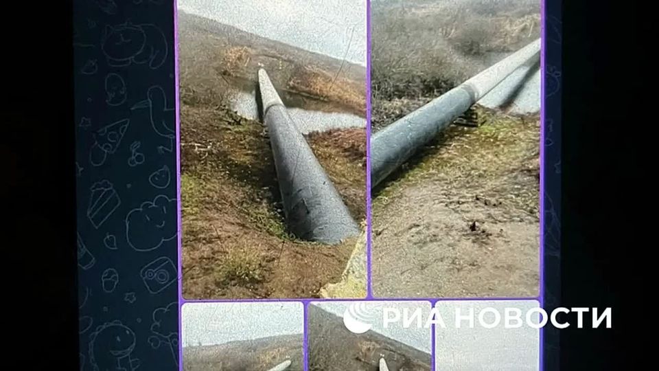 Эдуард Басурин: В Липецкой области и ДНР ФСБ РФ пресекла преступные планы украинских спецслужб, которые пытались использовать несовершеннолетних в качестве орудия террора