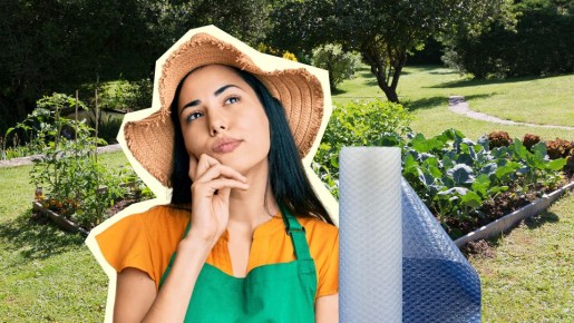 Опытные дачники не выбрасывают пузырчатую пленку: в огороде ей нашли применение