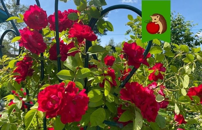 ������������ ������ ��� ����� ���: 5 ��������, ������� ����� ��������� �� �����