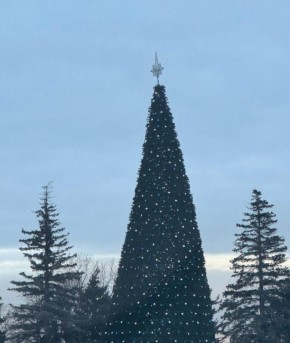 Новогоднюю ёлку демонтируют… и вновь переустановят на площади Ленина-Соборной