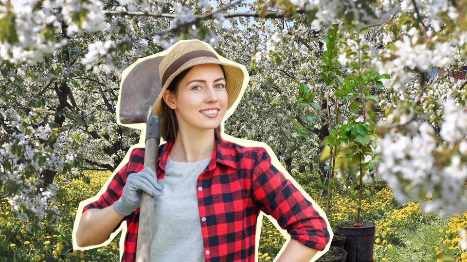 ������������ ������� ������ � ����� �������� �����: ����������� ������� �������