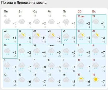 В ночь под Новый год лёгкий снежок пойдёт в Липецке