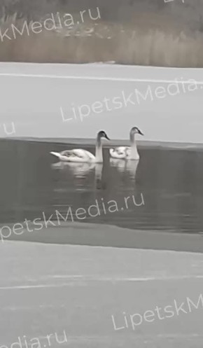 ������ �� ������� � ����� ������ �� �������� �������