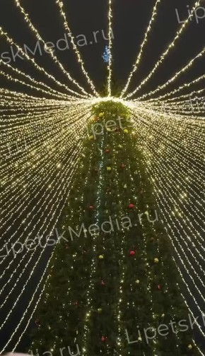 Огни зажглись сегодня на главной ёлке Липецка