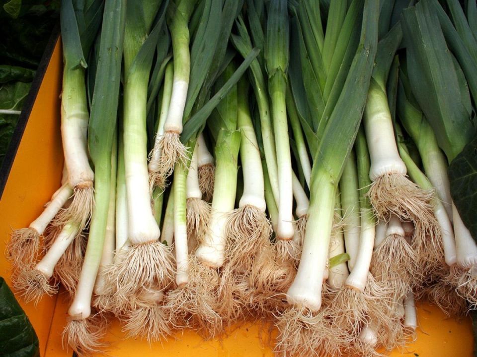 ���-�����: ������� ������������ � �������� ��� ��������