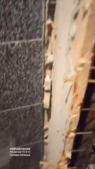 Дали свободу попугаю липецкие спасатели