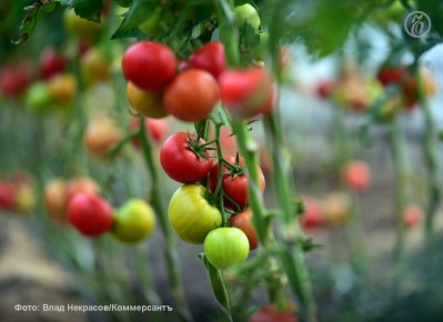 ��� ������� � ������� ����������� ����� 478 ��� ������ ������ �� ��������������