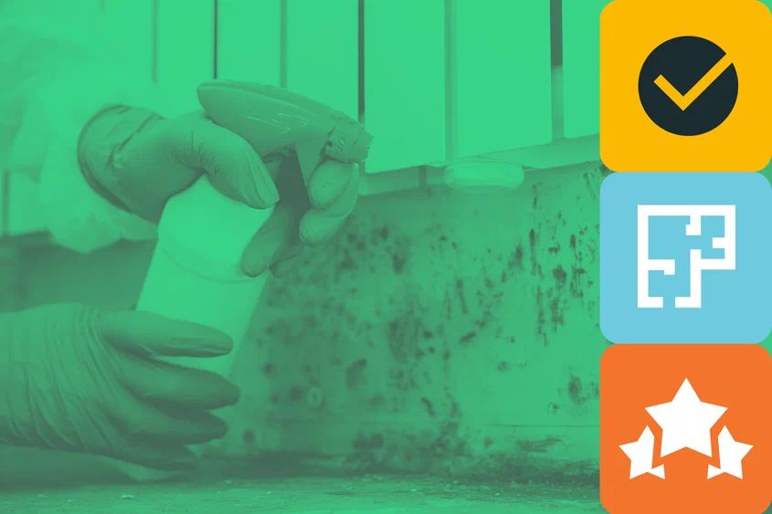 Причины появления плесени в вашем доме