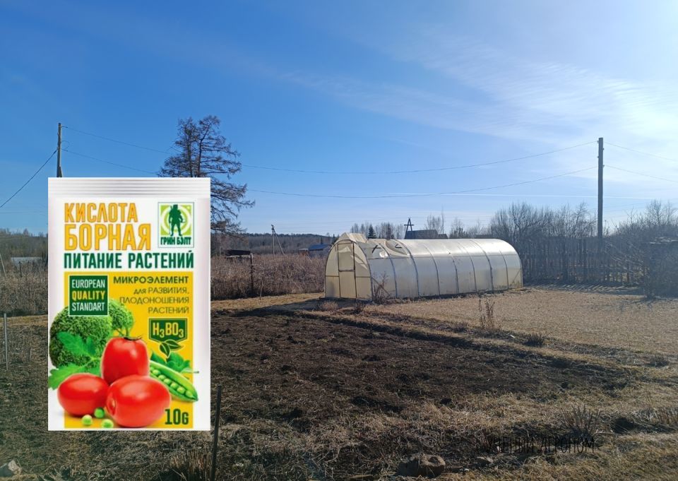 Как избежать дефицита бора: важные советы для садоводов