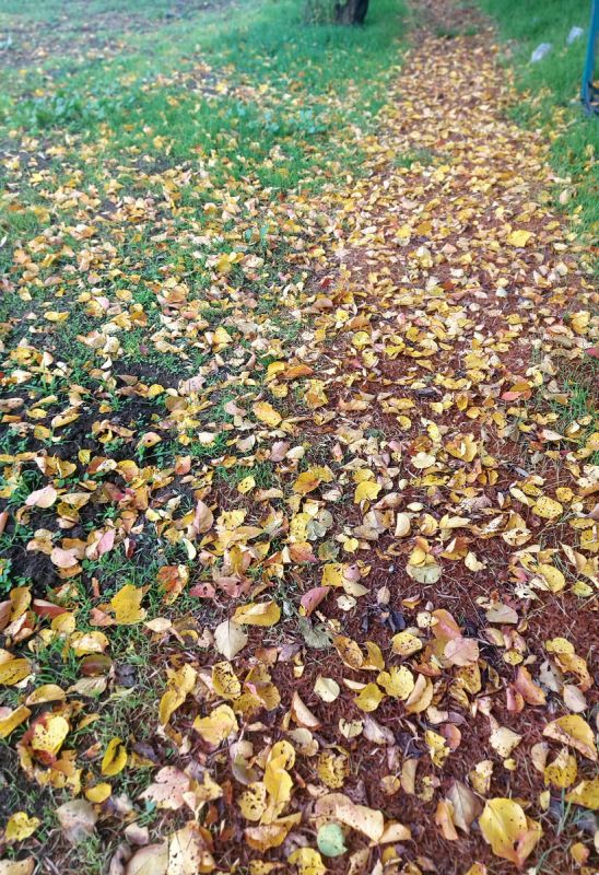 ��������� ���� �����: ��� �� ������� � ���������� � ����