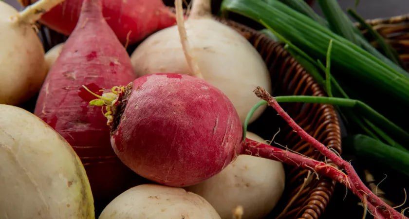 Липецкие фермеры собрали рекордный урожай свеклы и зерна