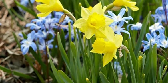 ��������� ���������: ��� ������� ��������� ��� � 2025 ����