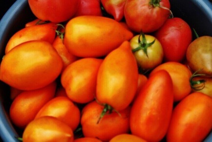 ����� ��� ����������� ��������: ������ � ����� � ������ �� �����