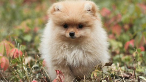 ����� ����������� ������: ��� �������� ���� �� ��������������� ������