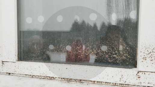 ������ �������� ������� ������������ �� �������� ����