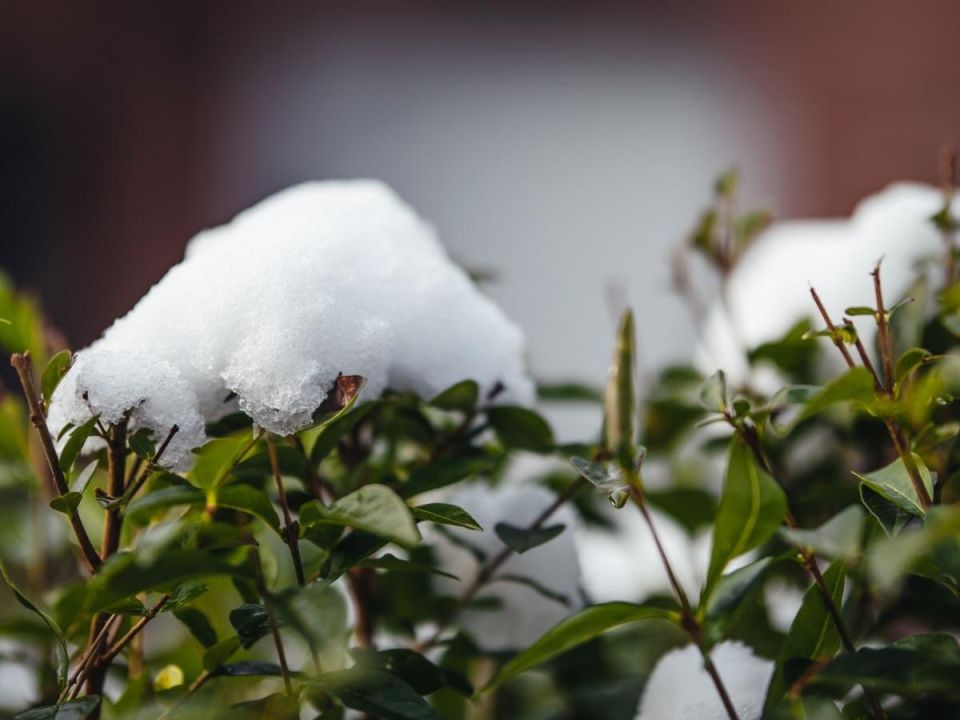 ��� �������� ��� �� ���������������� ������� �����