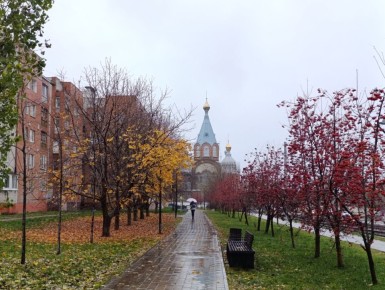 ��� �������� ����� �����: ������ ��� ��������� ����